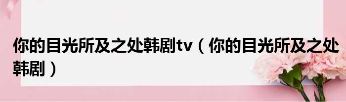 你的目光所及之处韩剧tv（你的目光所及之处韩剧）