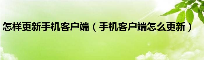 怎样更新手机客户端（手机客户端怎么更新）