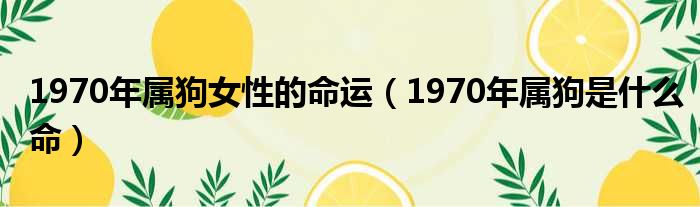 1970年属狗女性的命运（1970年属狗是什么命）