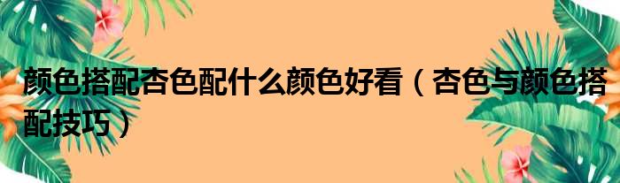 颜色搭配杏色配什么颜色好看（杏色与颜色搭配技巧）