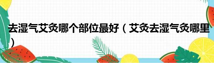 去湿气艾灸哪个部位最好（艾灸去湿气灸哪里）