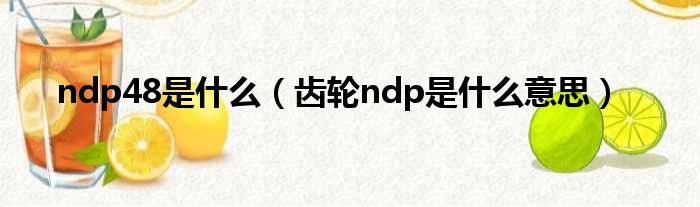 ndp48是什么（齿轮ndp是什么意思）