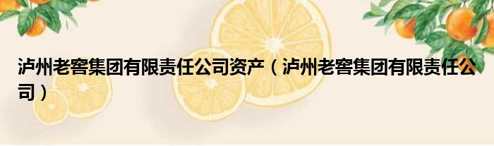 泸州老窖集团有限责任公司资产（泸州老窖集团有限责任公司）