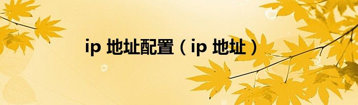 ip 地址配置（ip 地址）