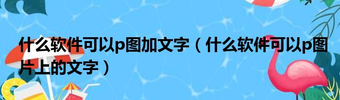 什么软件可以p图加文字（什么软件可以p图片上的文字）