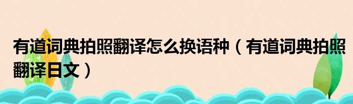 有道词典拍照翻译怎么换语种（有道词典拍照翻译日文）