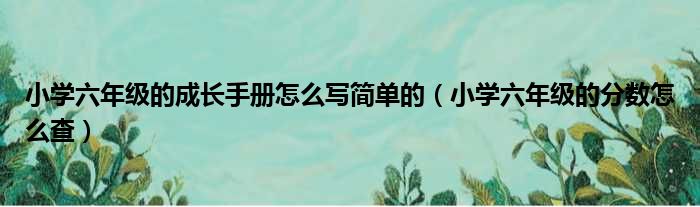 小学六年级的成长手册怎么写简单的（小学六年级的分数怎么查）