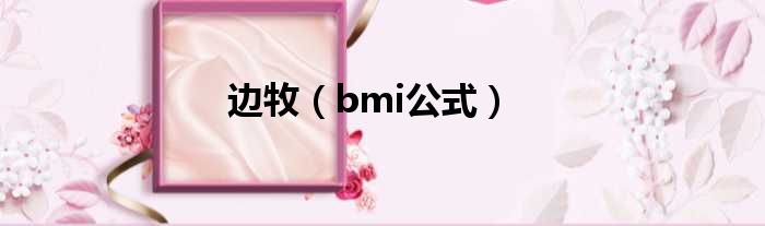 边牧（bmi公式）