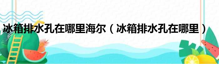 冰箱排水孔在哪里海尔（冰箱排水孔在哪里）