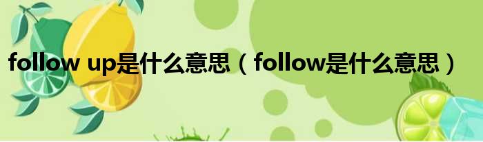 follow up是什么意思（follow是什么意思）