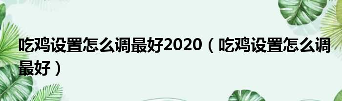 吃鸡设置怎么调最好2020（吃鸡设置怎么调最好）