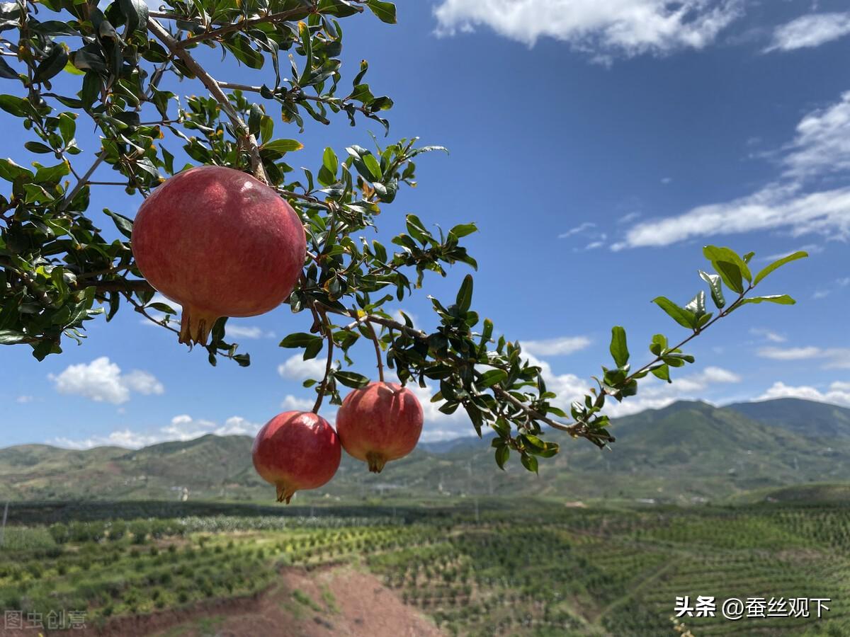 会理县是第几批历史文化名城（会理县属于哪个市）(图2)