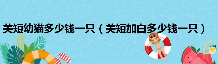 美短幼猫多少钱一只（美短加白多少钱一只）