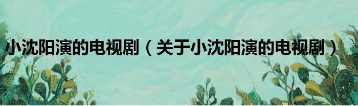 小沈阳演的电视剧（关于小沈阳演的电视剧）