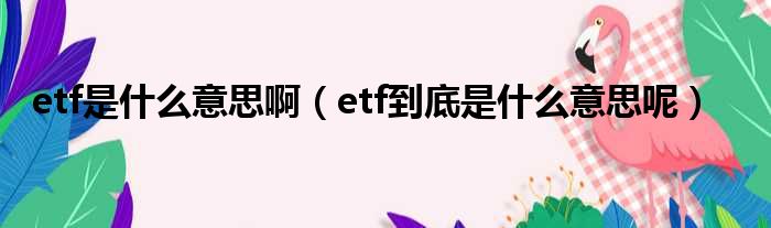 etf是什么意思啊（etf到底是什么意思呢）