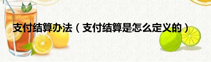 支付结算办法（支付结算是怎么定义的）