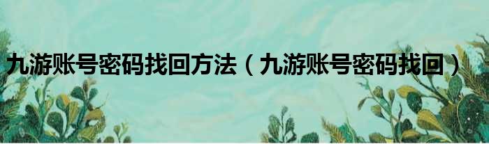 九游账号密码找回方法（九游账号密码找回）