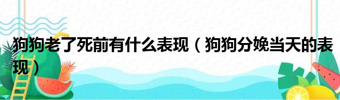 狗狗老了死前有什么表现（狗狗分娩当天的表现）