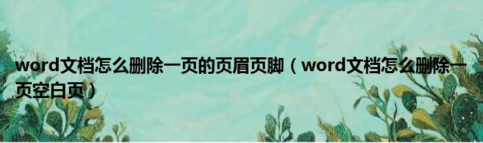 word文档怎么删除一页的页眉页脚（word文档怎么删除一页空白页）