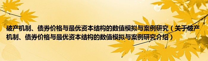  破产机制、债券价格与最优资本结构的数值模拟与案例研究（关于破产机制、债券价格与最优资本结构的数值模拟与案例研究介绍）