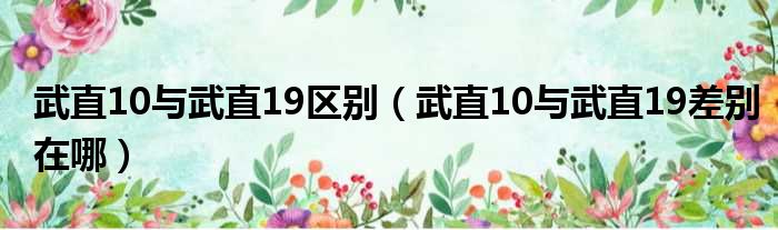 武直10与武直19区别（武直10与武直19差别在哪）