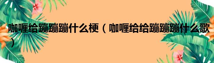 咖喱给蹦蹦蹦什么梗（咖喱给给蹦蹦蹦什么歌）