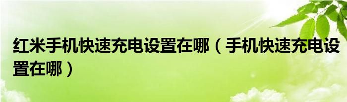 红米手机快速充电设置在哪（手机快速充电设置在哪）