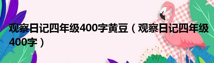 观察日记四年级400字黄豆（观察日记四年级400字）