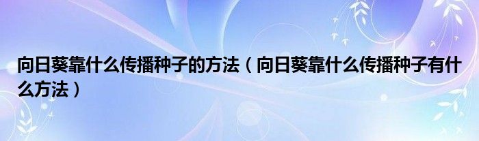 向日葵靠什么传播种子的方法（向日葵靠什么传播种子有什么方法）