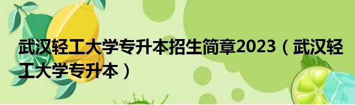 武汉轻工大学专升本招生简章2023（武汉轻工大学专升本）