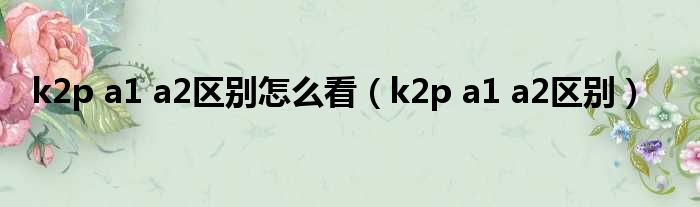 k2p a1 a2区别怎么看（k2p a1 a2区别）