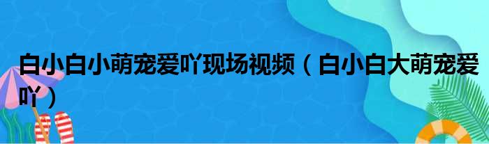 白小白小萌宠爱吖现场视频（白小白大萌宠爱吖）