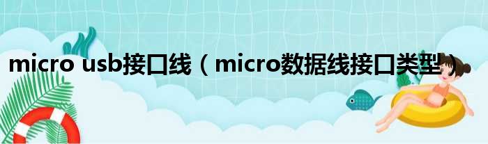 micro usb接口线（micro数据线接口类型）