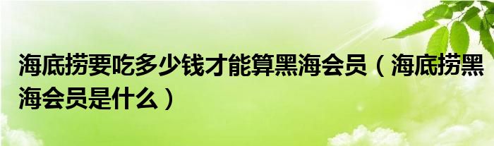 海底捞要吃多少钱才能算黑海会员（海底捞黑海会员是什么）