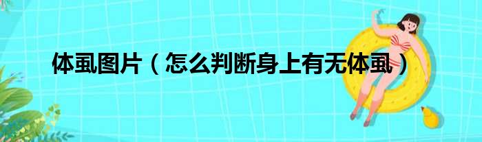 体虱图片（怎么判断身上有无体虱）