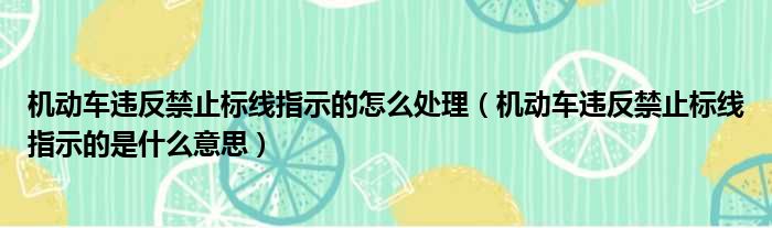 机动车违反禁止标线指示的怎么处理（机动车违反禁止标线指示的是什么意思）