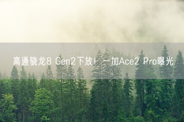 高通骁龙8 Gen2下放！一加Ace2 Pro曝光