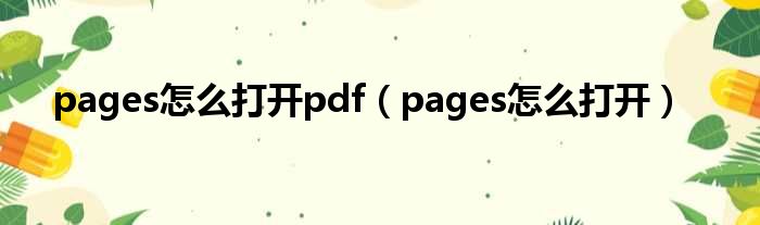 pages怎么打开pdf（pages怎么打开）