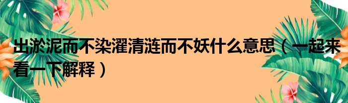 出淤泥而不染濯清涟而不妖什么意思（一起来看一下解释）