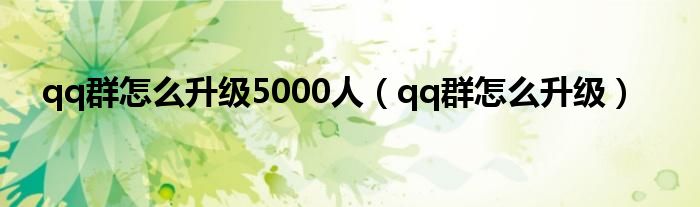 qq群怎么升级5000人（qq群怎么升级）