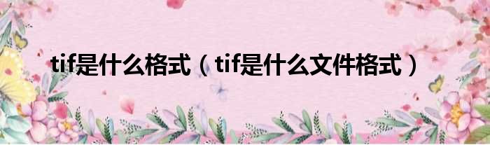 tif是什么格式（tif是什么文件格式）