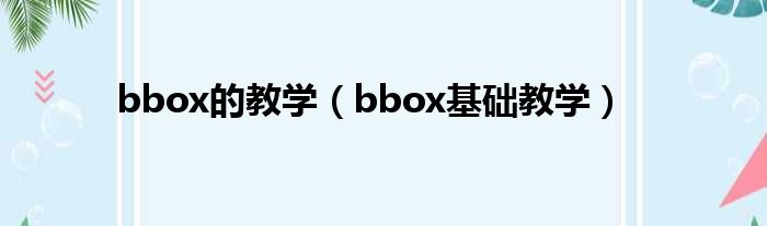 bbox的教学（bbox基础教学）