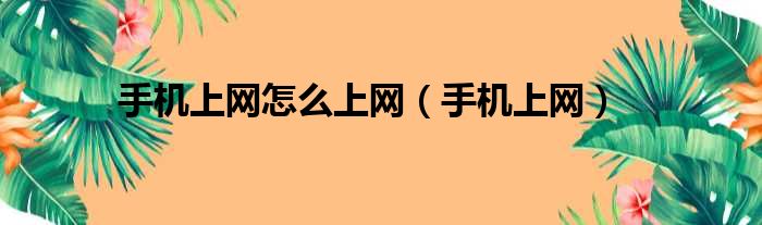 手机上网怎么上网（手机上网）