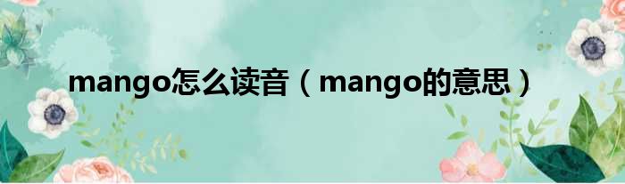 mango怎么读音（mango的意思）