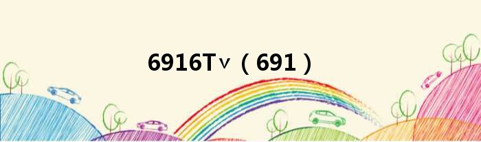 6916T∨（691）