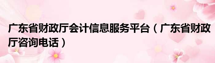 广东省财政厅会计信息服务平台（广东省财政厅咨询电话）