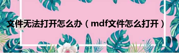 文件无法打开怎么办（mdf文件怎么打开）