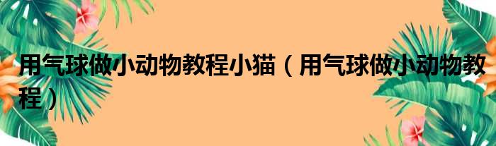 用气球做小动物教程小猫（用气球做小动物教程）