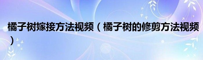 橘子树嫁接方法视频（橘子树的修剪方法视频）