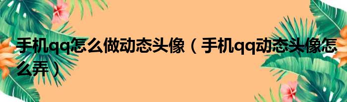 手机qq怎么做动态头像（手机qq动态头像怎么弄）